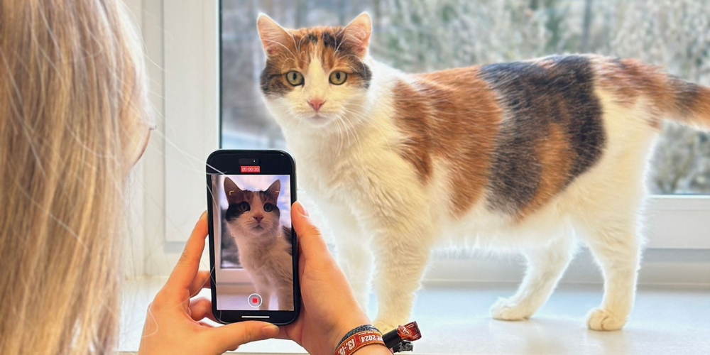 Social Wall. Social Wall.